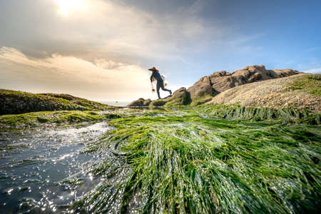 Ninh Thuan province, Vietnam - January 16, 2021: Fishermen throw nets to fish on a beach with lots of green mossのeditorial素材