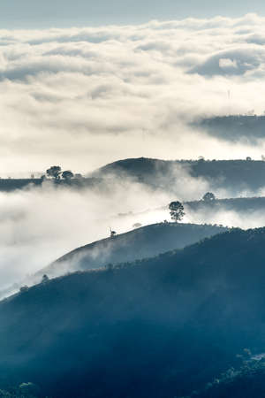 Background with fresh air, magic light and dense fog cover forest in the plateau at dawn.の素材 [FY310166412272]