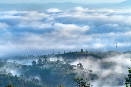 Background with fresh air, magic light and dense fog cover forest in the plateau at dawn.
