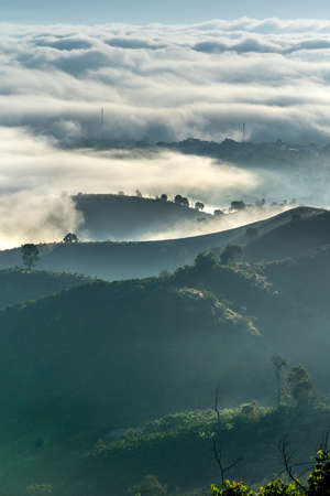 Background with fresh air, magic light and dense fog cover forest in the plateau at dawn.の写真素材