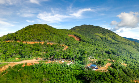 Aerial view of green mountain forest and blue sky with white clouds.