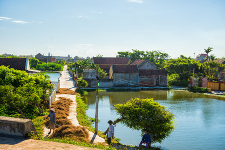 Hai Ly, Hai Hau, Vietnam - June 27, 2015: People are cleaning rice straws in the streetのeditorial素材