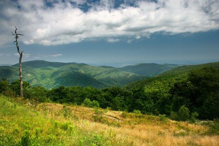 Blue Ridge Mountains, as they appear from the Skyline Driveの写真素材