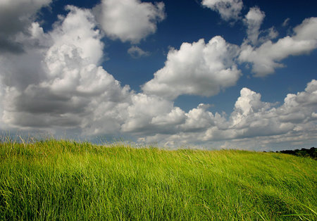 grassy land with overhead cloudsの写真素材