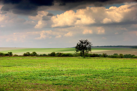 farmlandの写真素材