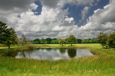 big clouds over a pond in a parkの写真素材
