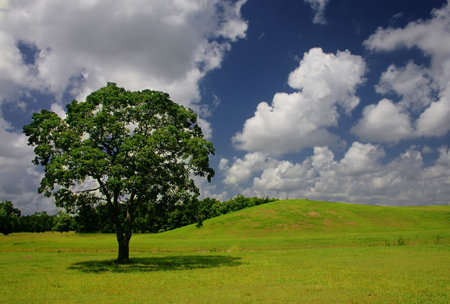 clouds over a hill in a park in summertimeの写真素材