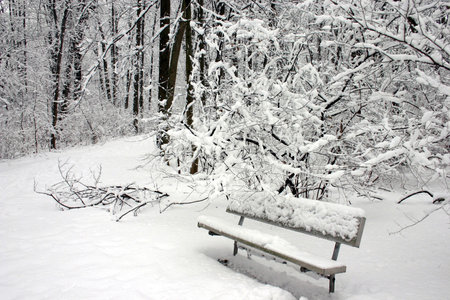 snow on a bench in a parkの写真素材