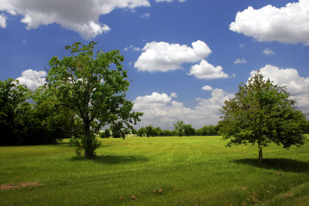a park in the summer timeの写真素材