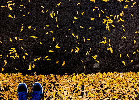 selfie of feet with running shoes on asphalt floor leaf covered in city parkの写真素材