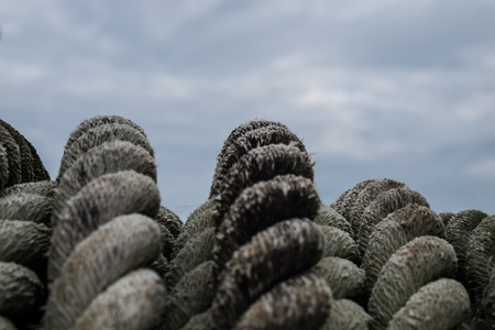 Rough rope for towing large boats full of green lichen stains.の写真素材