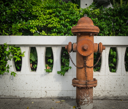 Antique fire hydrant connection on the footpath with low concrete fence background.の写真素材