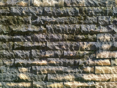 Slate tile wall pattern is filled with moss from rain with sun light effect.の写真素材