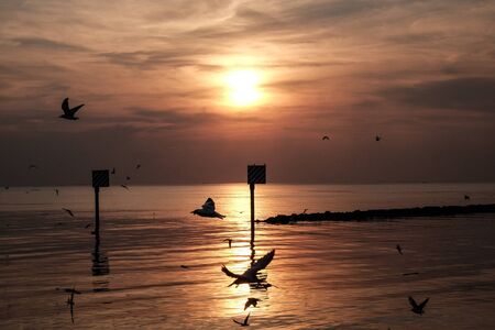Sunset scene with warning marking steel pole in the sea and flying seagulls in the sky at twilight time.の写真素材
