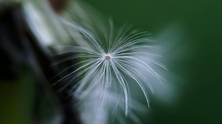 Naturalの写真素材