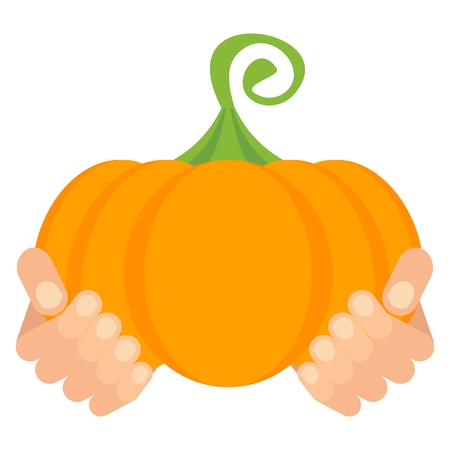 Hands of farmer with crop. Handful of vegetables. Men hands hold pumpkin. Flat vector cartoon illustration. Objects isolated on a white background.のイラスト素材