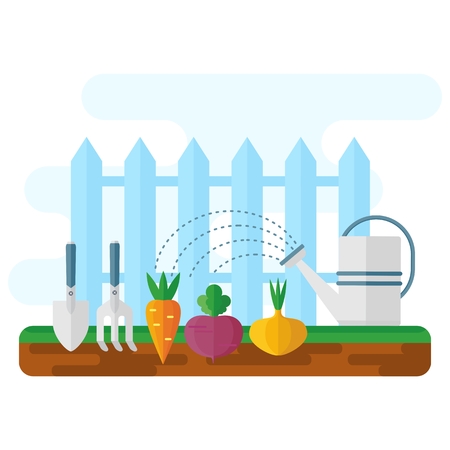 Green bed with vegetables, watering can and garden tools. Frash market sign logo. Flat vector cartoon illustration. Objects isolated on a white background.のイラスト素材