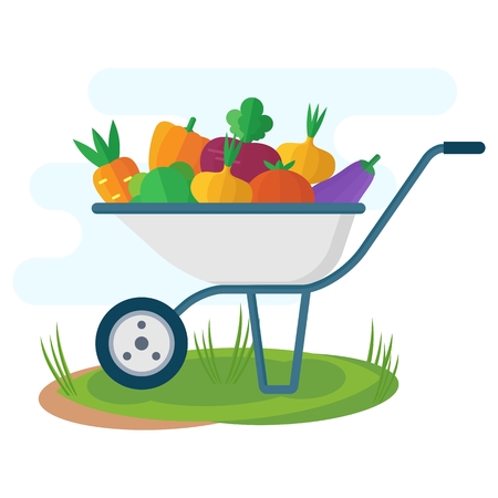 Garden wheelbarrow with vegetables. Flat vector cartoon illustration. Objects isolated on a white background.のイラスト素材
