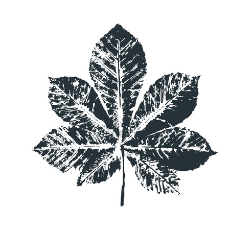 Vector black chestnut Leaf print. Inkprinted leaves of the trees on paper. Traced vector image.のイラスト素材