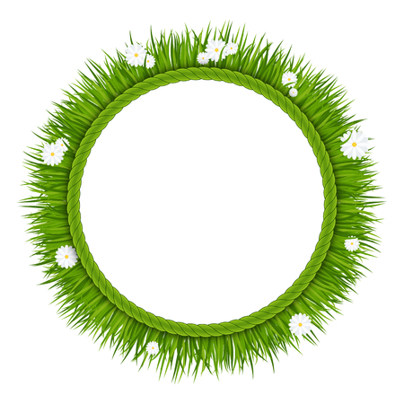 Frame with green grass with flowers on a meadowのイラスト素材