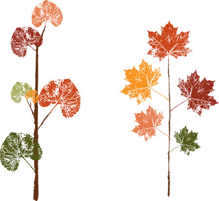 Colored ink print of a fallen autumn leaf. Watercolor leaf.のイラスト素材