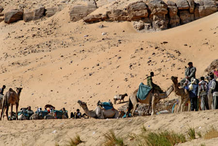 Sahara Desert by side of the River Nile in Egypt.の写真素材