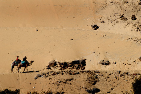 Sahara Desert by side of the River Nile in Egypt.の写真素材