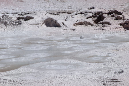 Geothermal  mud pool in Yellowstone National Park Wyoming