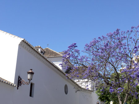 Nerja on the Costa del Sol in Andalucia Spainのeditorial素材