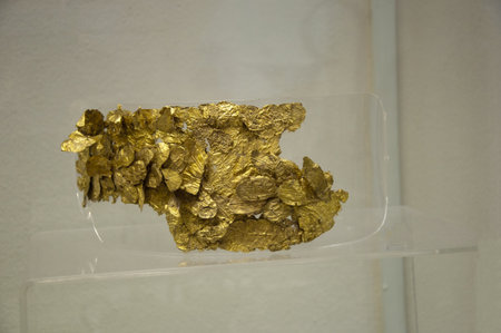 Golden crownのeditorial素材