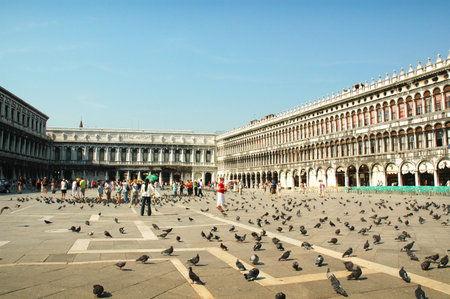 St Marks Square  Venice Italyのeditorial素材