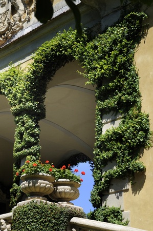 Beautiful Garden on Lake Como Italyの写真素材