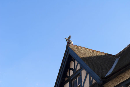 dragon ornament on roof of building in York Englandのeditorial素材