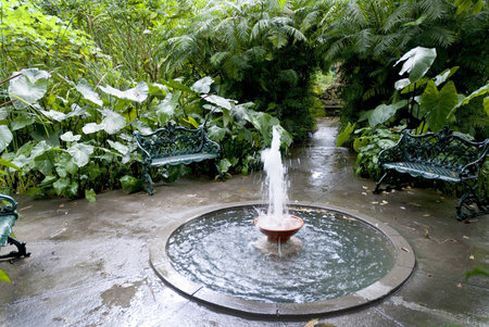 Stunning Tropical Garden on the Volcanic Island of Ischia in the Bay of Naples Italのeditorial素材