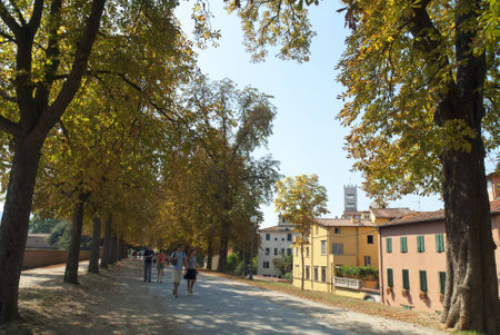 Walking the Walls of the City of Lucca Tuscany Italyのeditorial素材