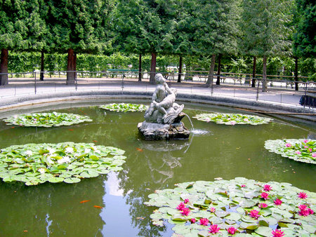 Lily pond in Vienna Austriaのeditorial素材
