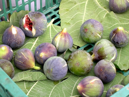 Figs in Frigiliana one of the most beautiful  white  villages of the Southern Spain area of Andalucia in the Alpujarra mountains の写真素材