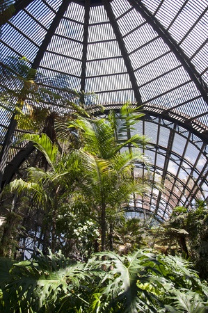 Trees in Botanical Garden Building in Balboa Park in San Diego California USAの写真素材