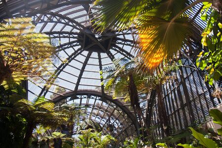 Trees in Botanical Garden Building in Balboa Park in San Diego California USAの写真素材
