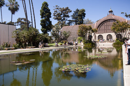 Lily Ponds in Balboa Park in San Diego California USAのeditorial素材