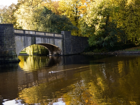Autumn colours in Northern Englandの写真素材