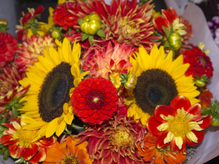 Flowers in Pike Place Farmers Market,Seattle ,Washington State USAの写真素材