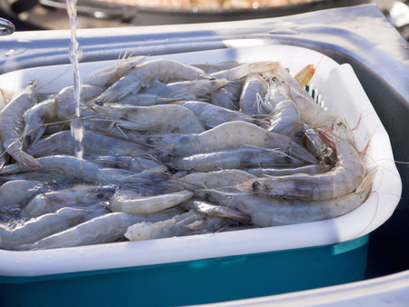 Cooking a gigantic paella on the beach at Nerja Andlucia Spainの写真素材