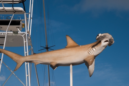 Fort Lauderdale in Florida USAの写真素材