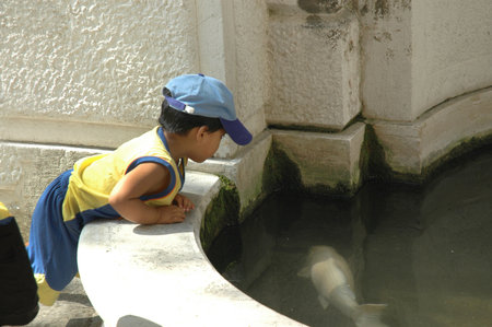 Watching the fish in the Garden of the Ca Rezzonica galleries in Venice Italyのeditorial素材
