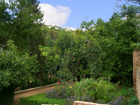 Gardens of the Generalife, the summer palace in the Alhambra Spainのeditorial素材