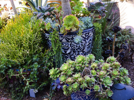 Botanical Garden Building in Balboa Park in San Diego California USAのeditorial素材