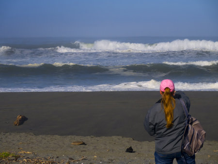 Driftwood Covered Beach on the Pacific Coast of Oregon USAのeditorial素材