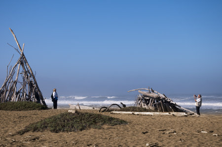 Driftwood Covered Beach on the Pacific Coast of California USAのeditorial素材