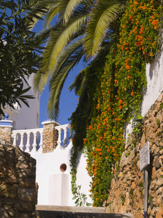 Lovely Terrace on the cliffs of Nerja Italyのeditorial素材
